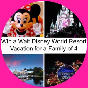 Big Walt Disney Giveaway