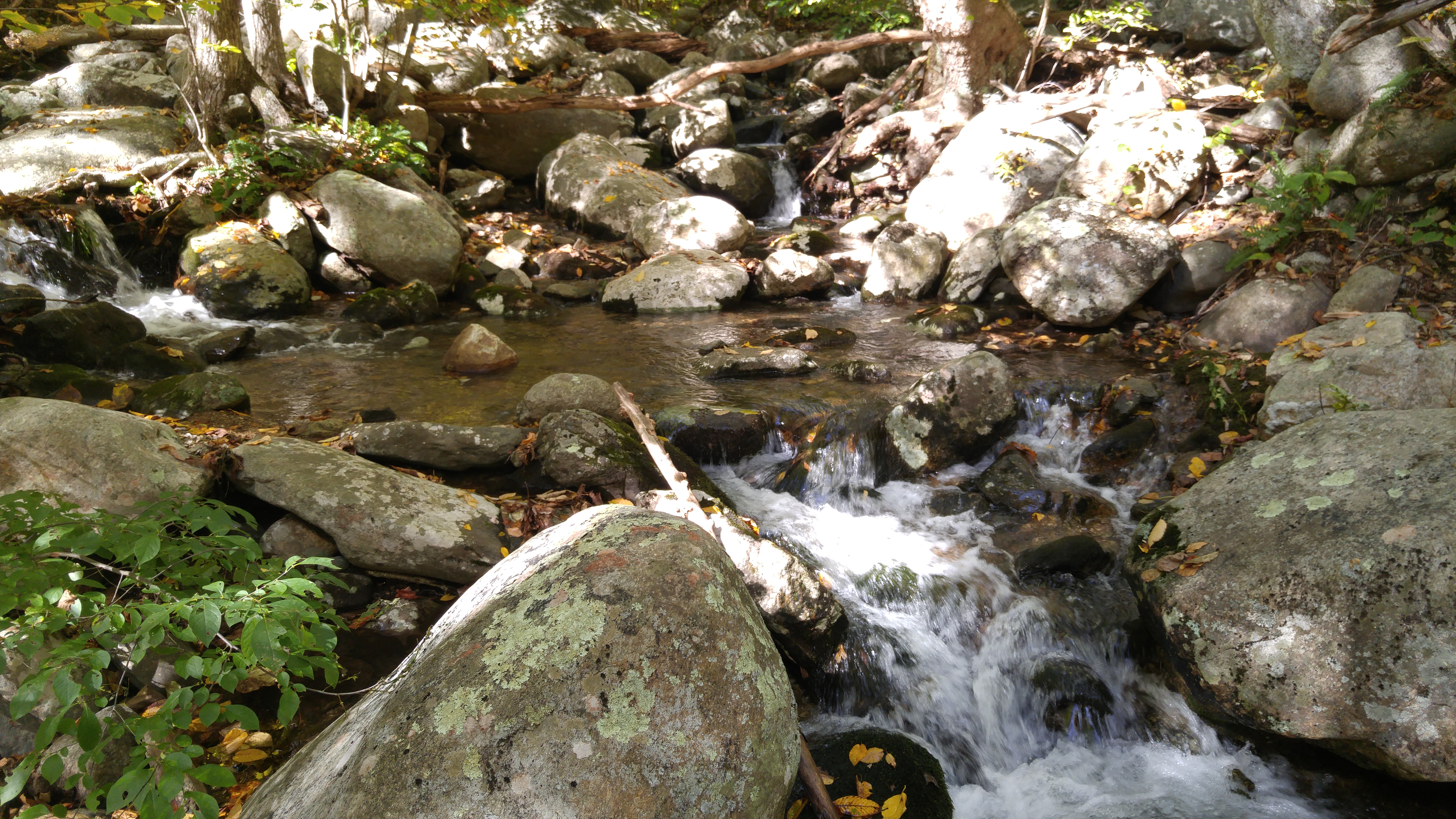 Hiking Old Rag Mountain