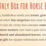 SaddleBox