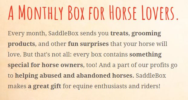 SaddleBox
